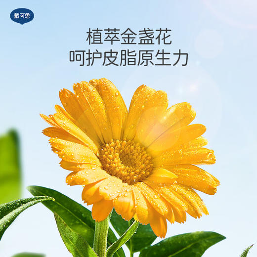 戴可思 婴儿宝宝金盏花洗发沐浴露 230ml 儿童洗发水沐浴露二合一 商品图3