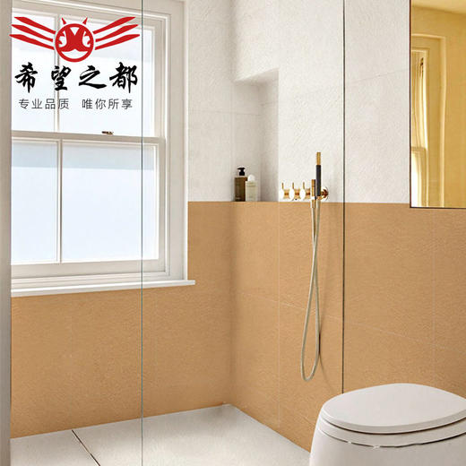 墙砖法式浴室厨房地砖瓷砖糖果侘寂风地砖釉卫生间水泥600x600微 商品图1