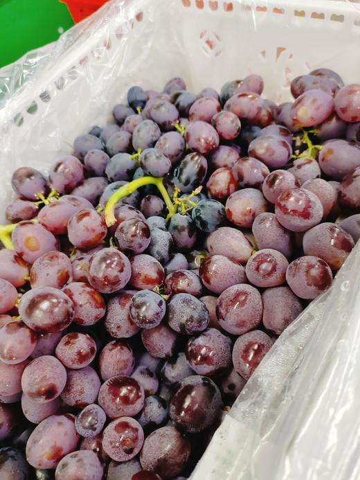 红珍珠葡萄一箱 商品图1