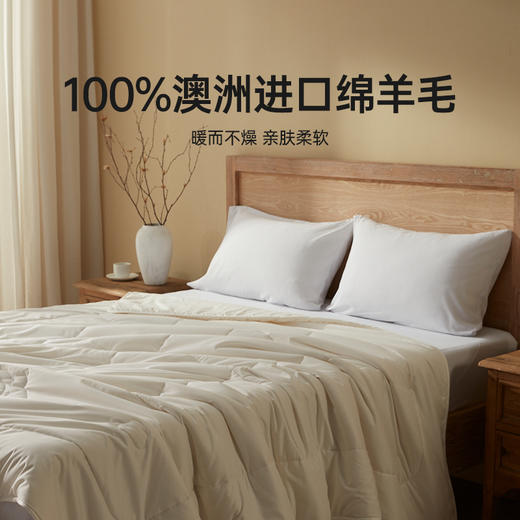 【棉疆溯源】洁丽雅洁丽雅澳毛被芯蓬松被抗菌春秋保暖柔软透气 商品图1