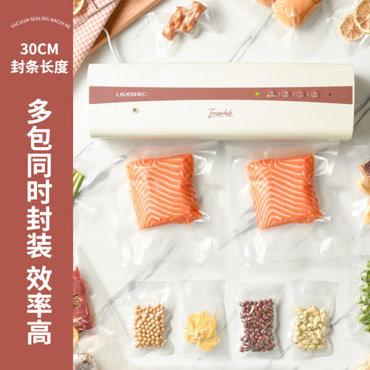 LIVEN利仁真空封口机FKJ-S370 商品图4