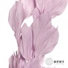 永生花材 | 桔叶粉紫 商品缩略图0