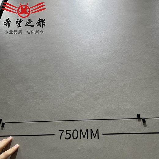 瓷砖寂风微仿古砖水泥客厅750x1500暖灰奶侘防滑地砖黄色柔光厨房 商品图1