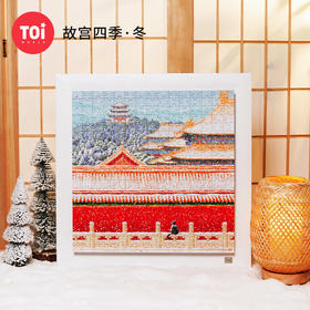 TOi图益-潮玩拼图系列-《故宫四季-冬》-300片-分包款