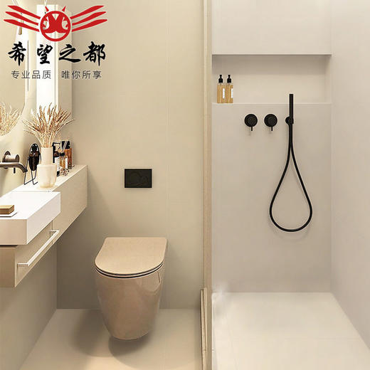 哑光水泥微粉寂风微全瓷砖侘墙砖600x600地砖通体砖素色卫生间 商品图1