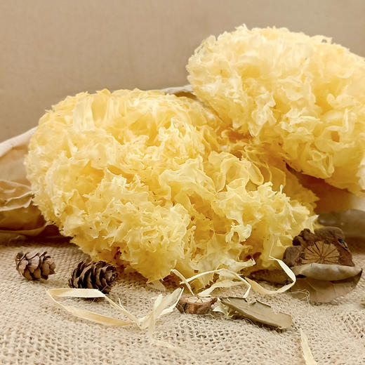 （SYJ）古田银耳 白木耳 糯耳 100克 商品图2