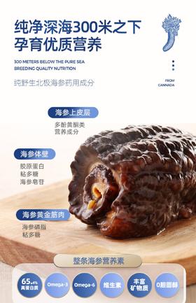 北美小熊爆款—costco加拿大开口参