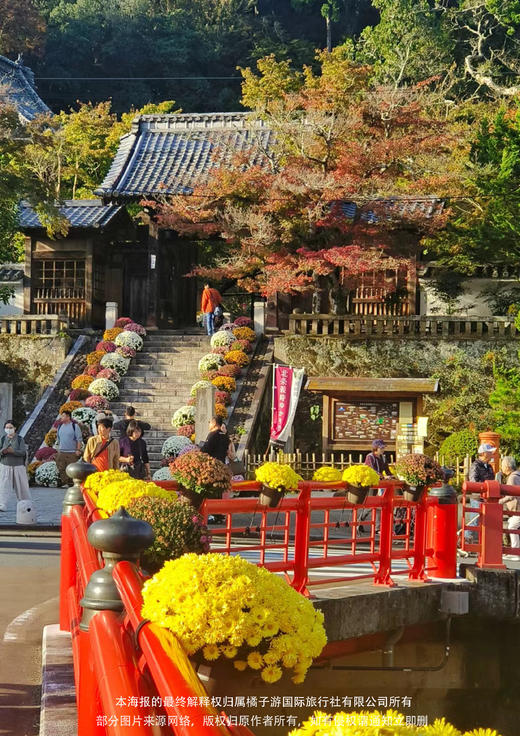 【伊豆半岛】 东京伊豆镰仓半自助6天之旅 商品图1