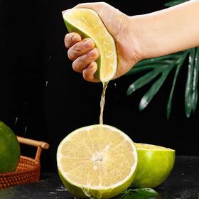 汇探吉王炸新品-泰蜜青皮葡萄柚8-8.5斤礼盒装