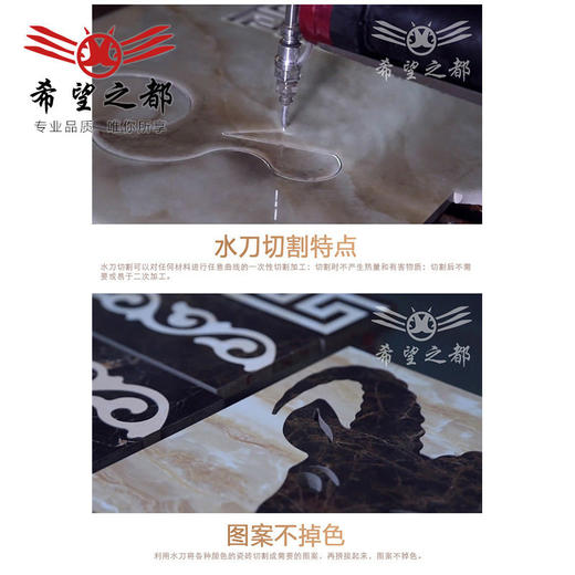 通体地板客厅都 抛之瓷砖大理石全水刀拼花 釉拼花 希望地砖 商品图3