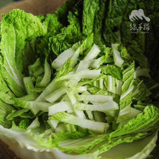 生态大白菜（太原） | 合作生产*Ecological Cabbage | Partner Production 商品图4