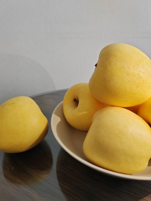 维纳斯黄金苹果 商品图0