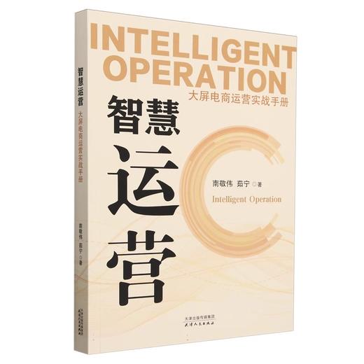 智慧运营：大屏电商运营实战手册 商品图0