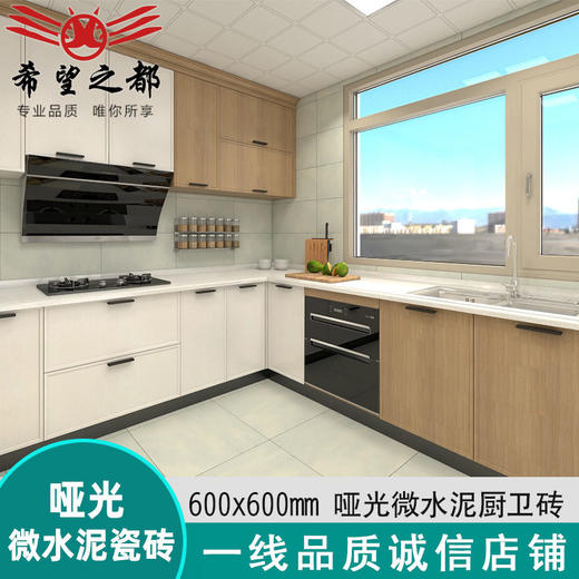 素色墙砖佛山卫生间仿古砖厨房600x600水泥地砖防滑客厅瓷砖微 商品图2