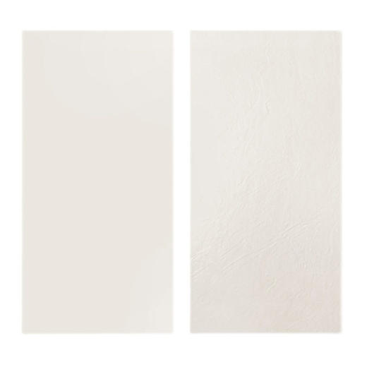 墙通体哑光度白色600x1200柔光奶油60地砖瓷砖客厅卫生间砖胚超白 商品图4