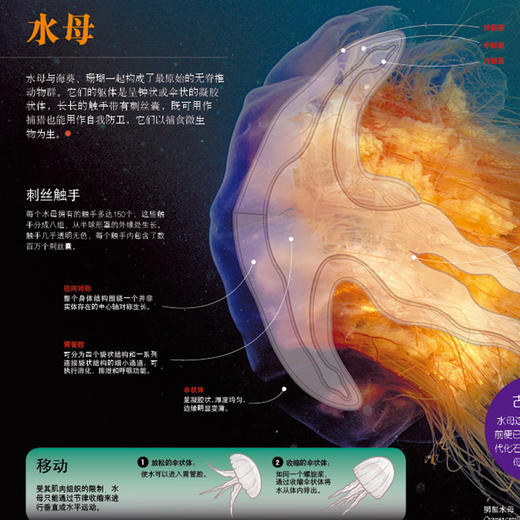 《全景图解百科全书：思维导图启蒙典藏中文版》（全16册） 商品图11