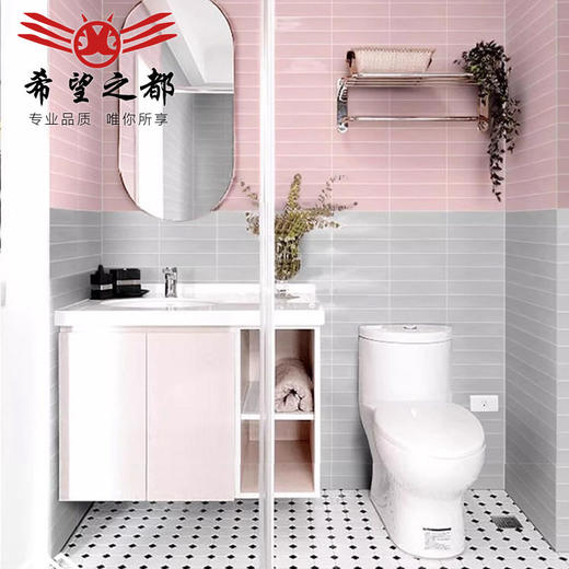 彩色风莫兰迪格子面包厨卫8长条洗手间砖300x600墙砖北欧瓷砖厕所 商品图2