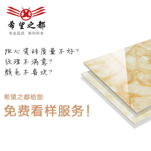 佛山大定金小样品牌链接广东运费 商品图1