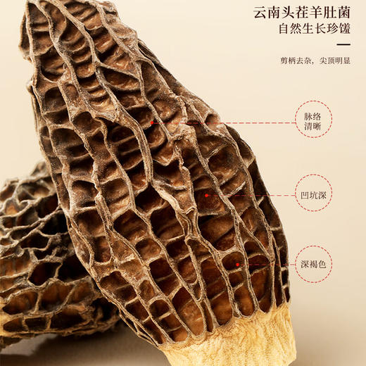 福东海 山野臻品四拼礼盒420克（红枣220克、姬松茸80克、虫草花80克、羊肚菌40克）养生汤料原料组合 节日送礼佳品 商品图4