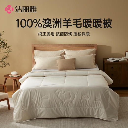 【棉疆溯源】洁丽雅洁丽雅澳毛被芯蓬松被抗菌春秋保暖柔软透气 商品图0