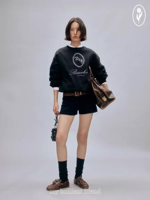 shyshystill/shy202408012/手绘棉质两色重工刺绣圆领定制罗纹不变形卫衣 商品图1