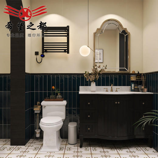 燕子小地砖卫生间瓷砖洗手间墙砖花砖法式猴子300*800复古黑白 商品图3