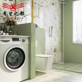 瓷砖厨房花片系列墙地砖300x800mm花砖糖果星彩牛油果绿卫生间