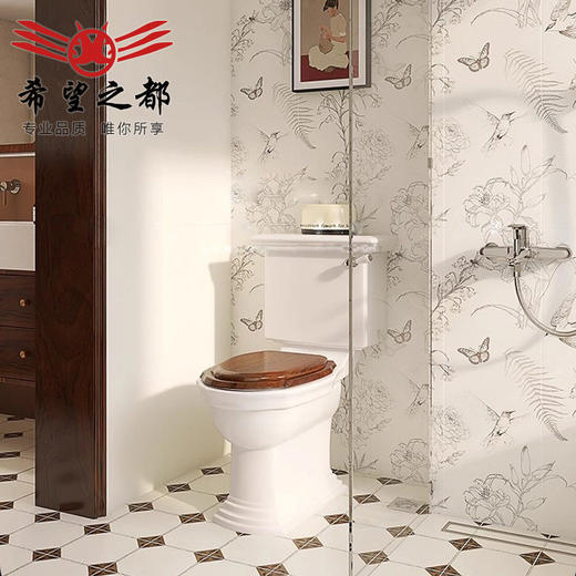 燕子游园焦法式墙砖厕所砖浴室糖色花砖古风卫生间中300x900瓷砖 商品图1