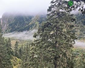 【小课堂】户外遇“湿”很糟心，如何应对干衣难题? 