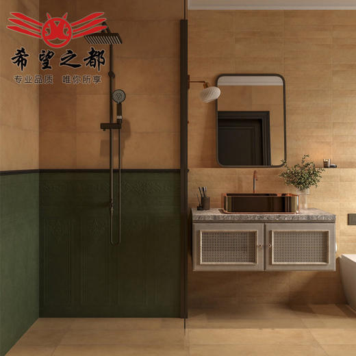 哑光300X900mm复古长条墨绿色地砖墙砖民宿法式瓷砖砖卫生间浴室 商品图2