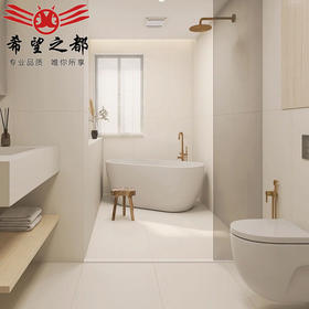 墙通体哑光度白色600x1200柔光奶油60地砖瓷砖客厅卫生间砖胚超白