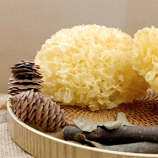 （SYJ）古田银耳 白木耳 糯耳 100克 商品图0