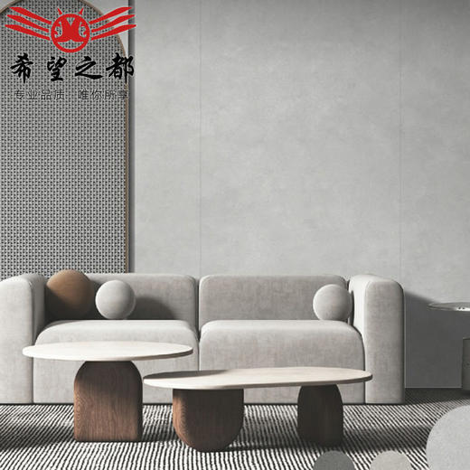 x9哑光1200x2侘寂风微光度背景墙400大板岩板瓷砖素色微水泥5别墅 商品图0