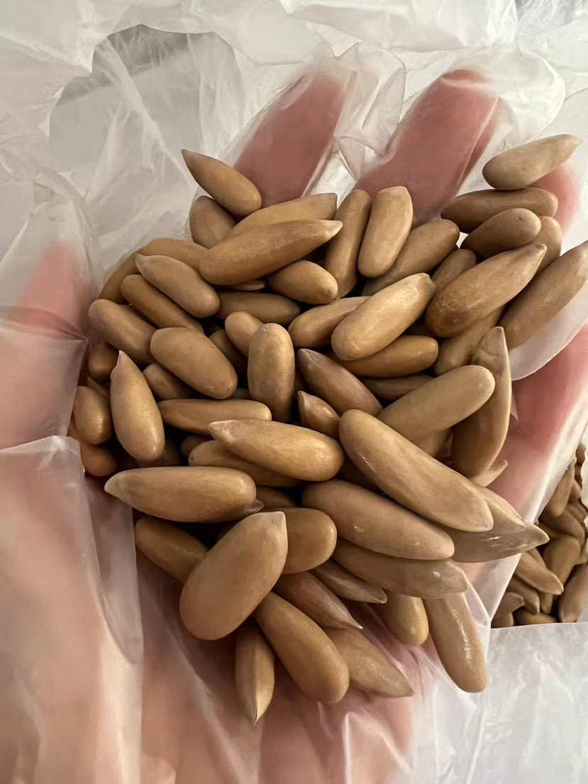 进口巴松，坚果皇者，你能买到的稀罕大颗粒，特别加钱让工厂精挑细选重重筛选，粒粒分明，颗粒均匀清爽！坏籽率极低