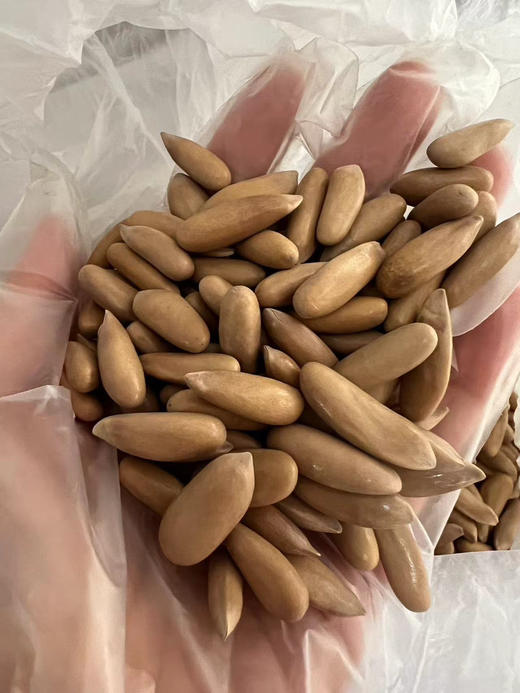 进口巴松，坚果皇者，你能买到的稀罕大颗粒，特别加钱让工厂精挑细选重重筛选，粒粒分明，颗粒均匀清爽！坏籽率极低 商品图0