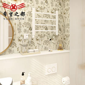 小洗手间墙砖蝶恋花300x600花砖瓷砖卫生间复古法式厨房地砖浴室