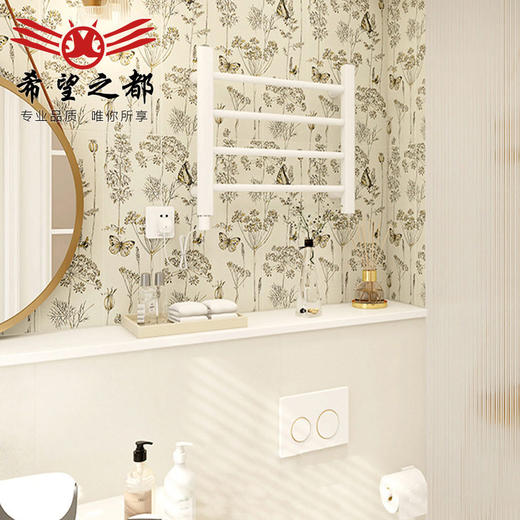 小洗手间墙砖蝶恋花300x600花砖瓷砖卫生间复古法式厨房地砖浴室 商品图0