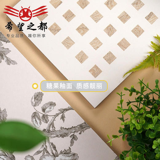 奶油厕所浴室风复古地砖砖300x900mm法式瓷墙砖玫瑰花卫生间 商品图3