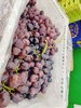 红珍珠葡萄一箱 商品缩略图5