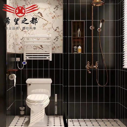 背景墙砖复古哑光小鸟花砖洗手间厕所300x600法式卫生间厨房花砖 商品图2