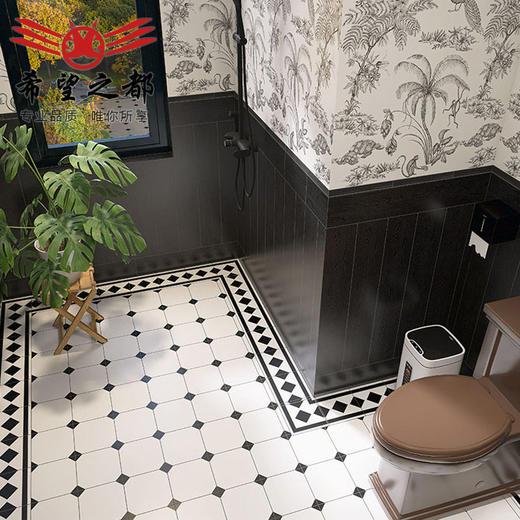 燕子小地砖卫生间瓷砖洗手间墙砖花砖法式猴子300*800复古黑白 商品图2