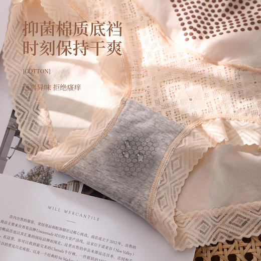 【清仓大促】洁丽雅3条装高腰纯棉女士内裤 商品图1
