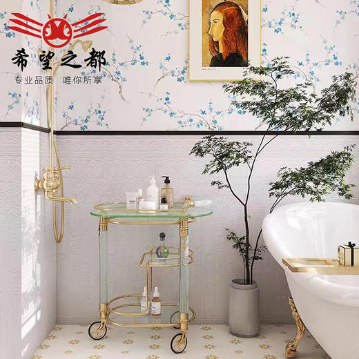 卫生间布霜白厨房墙砖地板砖300x1200法式瓷砖海基花砖复古阳台 商品图1