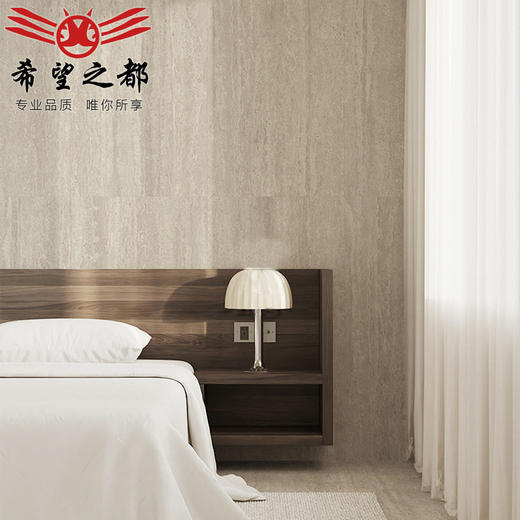 600x1200瓷砖洞石客哑光木化石无洞间厨卫墙地砖防滑砖餐厅 商品图2