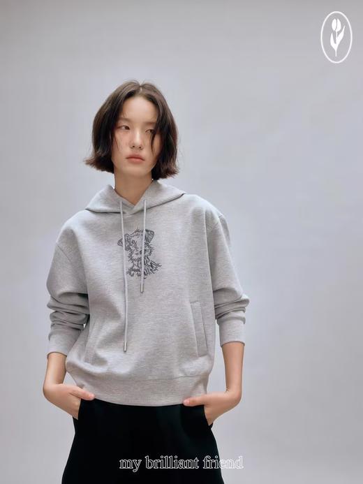 shyshystill/shy202408013/柔软空气棉复古休闲刺绣手绘图案连帽卫衣 商品图3