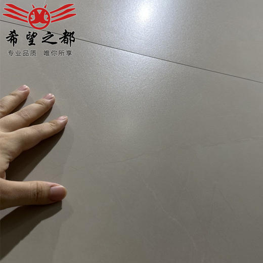 釉微通体地板砖亮光肌肤墙砖600x1200卫生间厨房瓷砖水泥客厅柔光 商品图3