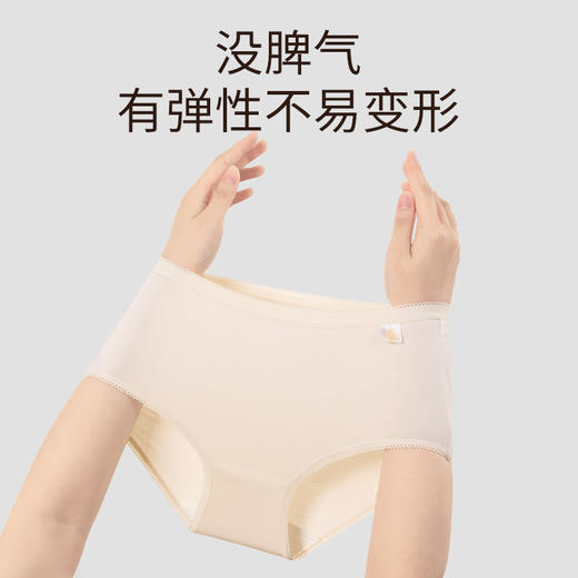 【清仓大促】洁丽雅单条装女士双层纯棉底裆内裤 商品图1