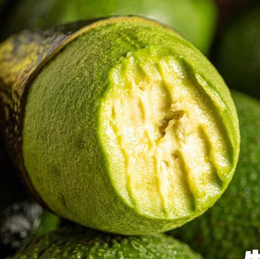 【细腻丝滑】云南孟连哈斯牛油果 商品图0