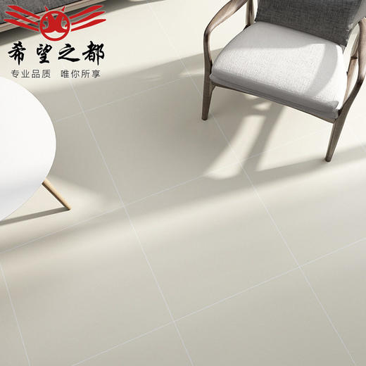 哑光水泥微粉寂风微全瓷砖侘墙砖600x600地砖通体砖素色卫生间 商品图2