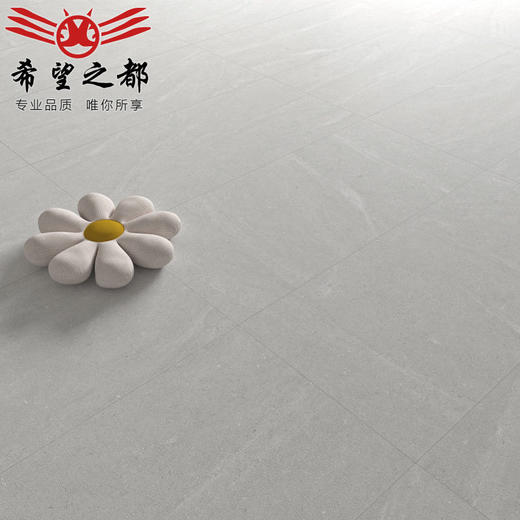 卫生间仿古砖莱姆石微客厅600x1200瓷砖墙砖侘寂风地板砖餐厅水泥 商品图3